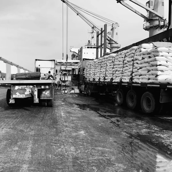 IMG_4104 Export logistics services for agricultural food products from Ghana and Africa